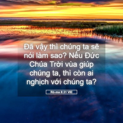 Picture 05 - Rô-ma 8:31 VIE - Đã vậy thì chúng ta sẽ nói làm sao? - Bible Verse Picture