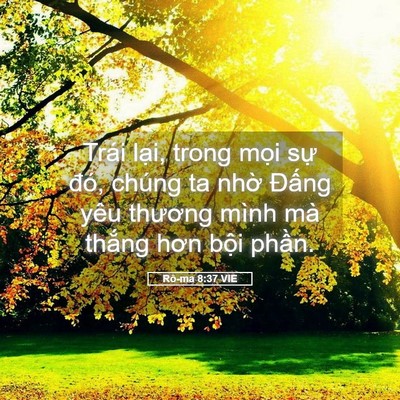 Picture 05 - Rô-ma 8:37 VIE - Trái lại, trong mọi sự đó, chúng ta - Bible Verse Picture