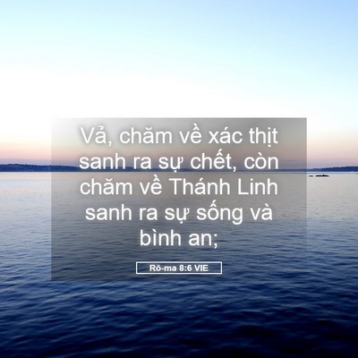 Picture 05 - Rô-ma 8:6 VIE - Vả, chăm về xác thịt sanh ra sự chết, - Bible Verse Picture