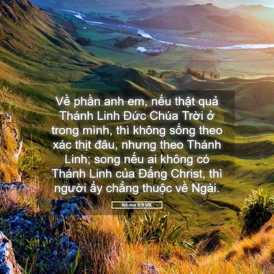 Picture 05 - Rô-ma 8:9 VIE - Về phần anh em, nếu thật quả Thánh - Bible Verse Picture
