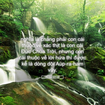 Picture 05 - Rô-ma 9:8 VIE - nghĩa là chẳng phải con cái thuộc về - Bible Verse Picture