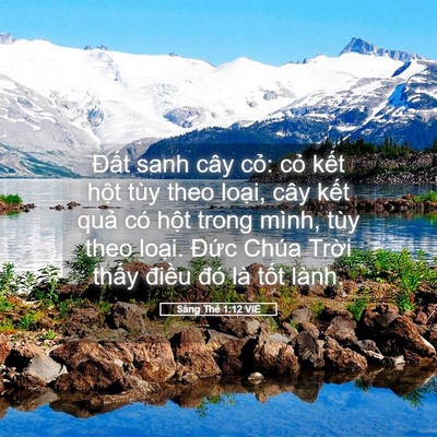 Picture 05 - Sáng Thế 1:12 VIE - Đất sanh cây cỏ: cỏ kết hột tùy theo - Bible Verse Picture