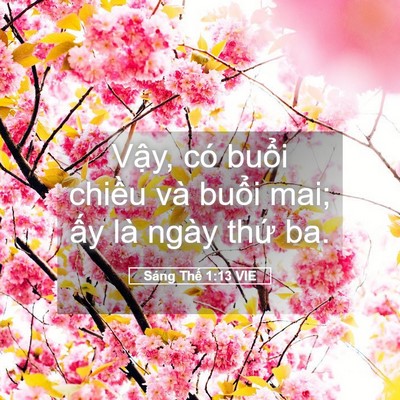Picture 05 - Sáng Thế 1:13 VIE - Vậy, có buổi chiều và buổi mai; ấy - Bible Verse Picture
