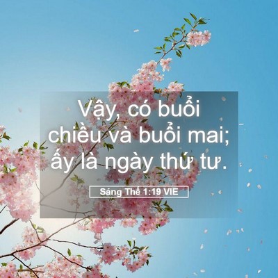 Picture 05 - Sáng Thế 1:19 VIE - Vậy, có buổi chiều và buổi mai; ấy - Bible Verse Picture