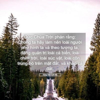 Picture 05 - Sáng Thế 1:26 VIE - Đức Chúa Trời phán rằng: Chúng ta hãy - Bible Verse Picture
