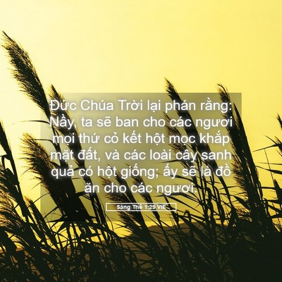 Picture 05 - Sáng Thế 1:29 VIE - Đức Chúa Trời lại phán rằng: Nầy, ta - Bible Verse Picture