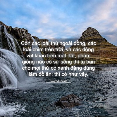 Picture 05 - Sáng Thế 1:30 VIE - Còn các loài thú ngoài đồng, các loài - Bible Verse Picture