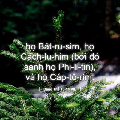 Picture 05 - Sáng Thế 10:14 VIE - họ Bát-ru-sim, họ Cách-lu-him (bởi đó - Bible Verse Picture