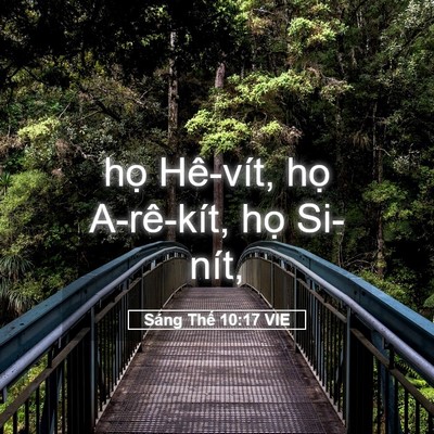 Picture 05 - Sáng Thế 10:17 VIE - họ Hê-vít, họ A-rê-kít, họ - Bible Verse Picture