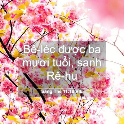 Picture 05 - Sáng Thế 11:18 VIE - Bê-léc được ba mươi tuổi, sanh - Bible Verse Picture