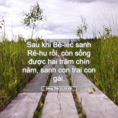 Picture 05 - Sáng Thế 11:19 VIE - Sau khi Bê-léc sanh Rê-hu rồi, còn sống - Bible Verse Picture