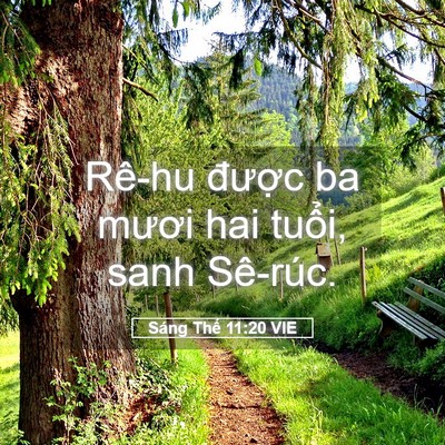 Picture 05 - Sáng Thế 11:20 VIE - Rê-hu được ba mươi hai tuổi, sanh - Bible Verse Picture