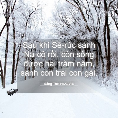 Picture 05 - Sáng Thế 11:23 VIE - Sau khi Sê-rúc sanh Na-cô rồi, còn sống - Bible Verse Picture