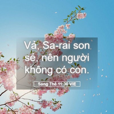 Picture 05 - Sáng Thế 11:30 VIE - Vả, Sa-rai son sẻ, nên người không có - Bible Verse Picture