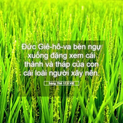 Picture 05 - Sáng Thế 11:5 VIE - Đức Giê-hô-va bèn ngự xuống đặng xem - Bible Verse Picture