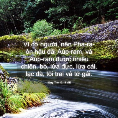 Picture 05 - Sáng Thế 12:16 VIE - Vì cớ người, nên Pha-ra-ôn hậu đãi - Bible Verse Picture