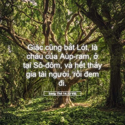 Picture 05 - Sáng Thế 14:12 VIE - Giặc cũng bắt Lót, là cháu của - Bible Verse Picture