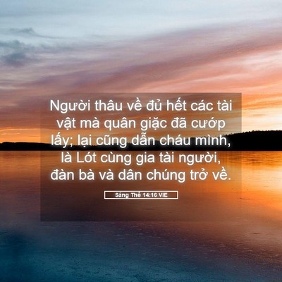 Picture 05 - Sáng Thế 14:16 VIE - Người thâu về đủ hết các tài vật - Bible Verse Picture