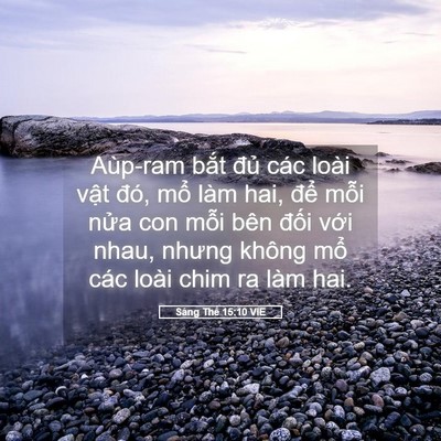 Picture 05 - Sáng Thế 15:10 VIE - Aùp-ram bắt đủ các loài vật đó, mổ - Bible Verse Picture