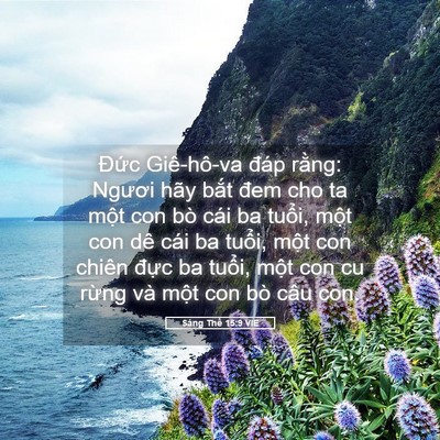 Picture 05 - Sáng Thế 15:9 VIE - Đức Giê-hô-va đáp rằng: Ngươi hãy - Bible Verse Picture