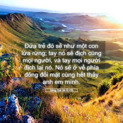 Picture 05 - Sáng Thế 16:12 VIE - Đứa trẻ đó sẽ như một con lừa - Bible Verse Picture