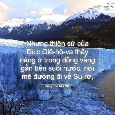 Picture 05 - Sáng Thế 16:7 VIE - Nhưng thiên sứ của Đức Giê-hô-va - Bible Verse Picture