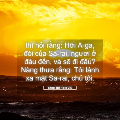Picture 05 - Sáng Thế 16:8 VIE - thì hỏi rằng: Hỡi A-ga, đòi của - Bible Verse Picture