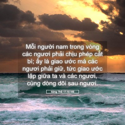 Picture 05 - Sáng Thế 17:10 VIE - Mỗi người nam trong vòng các ngươi - Bible Verse Picture