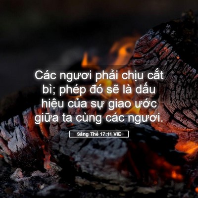 Picture 05 - Sáng Thế 17:11 VIE - Các ngươi phải chịu cắt bì; phép đó - Bible Verse Picture