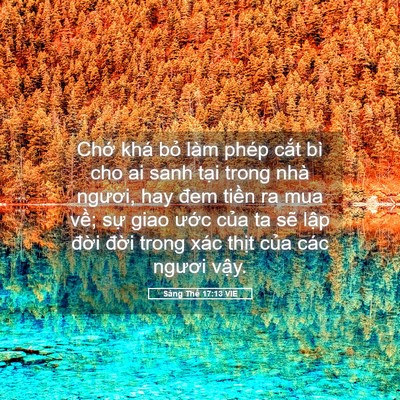 Picture 05 - Sáng Thế 17:13 VIE - Chớ khá bỏ làm phép cắt bì cho ai sanh - Bible Verse Picture