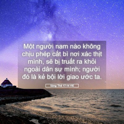 Picture 05 - Sáng Thế 17:14 VIE - Một người nam nào không chịu phép cắt - Bible Verse Picture
