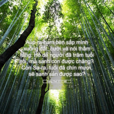 Picture 05 - Sáng Thế 17:17 VIE - Aùp-ra-ham bèn sấp mình xuống đất, - Bible Verse Picture