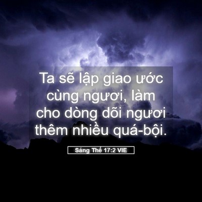 Picture 05 - Sáng Thế 17:2 VIE - Ta sẽ lập giao ước cùng ngươi, làm cho - Bible Verse Picture