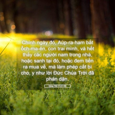 Picture 05 - Sáng Thế 17:23 VIE - Chính ngày đó, Aùp-ra-ham bắt - Bible Verse Picture