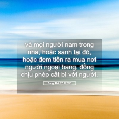 Picture 05 - Sáng Thế 17:27 VIE - và mọi người nam trong nhà, hoặc sanh - Bible Verse Picture