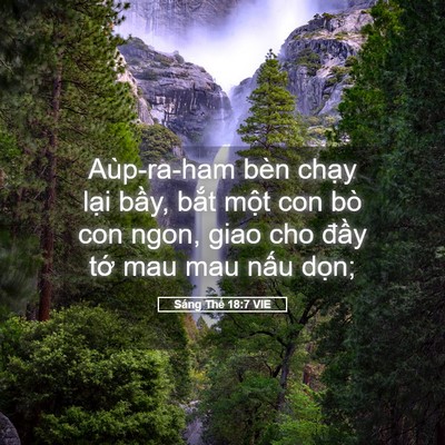 Picture 05 - Sáng Thế 18:7 VIE - Aùp-ra-ham bèn chạy lại bầy, bắt một - Bible Verse Picture