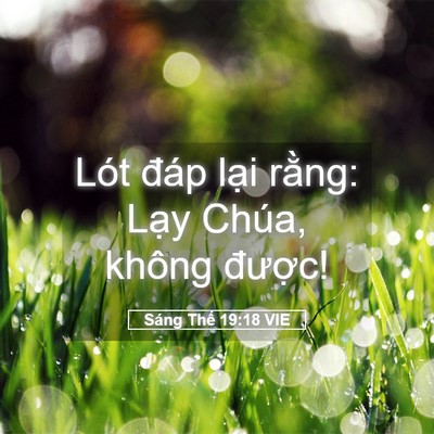 Picture 05 - Sáng Thế 19:18 VIE - Lót đáp lại rằng: Lạy Chúa, không - Bible Verse Picture