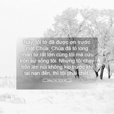 Picture 05 - Sáng Thế 19:19 VIE - Nầy, tôi tớ đã được ơn trước mặt - Bible Verse Picture