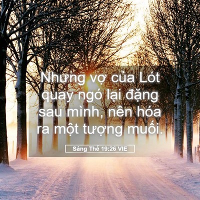 Picture 05 - Sáng Thế 19:26 VIE - Nhưng vợ của Lót quay ngó lại đặng - Bible Verse Picture