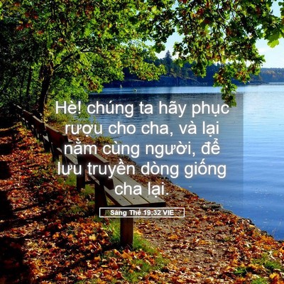 Picture 05 - Sáng Thế 19:32 VIE - Hè! chúng ta hãy phục rượu cho cha, và - Bible Verse Picture