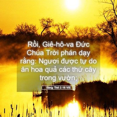 Picture 05 - Sáng Thế 2:16 VIE - Rồi, Giê-hô-va Đức Chúa Trời phán - Bible Verse Picture