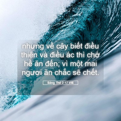 Picture 05 - Sáng Thế 2:17 VIE - nhưng về cây biết điều thiện và - Bible Verse Picture