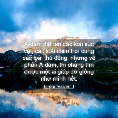 Picture 05 - Sáng Thế 2:20 VIE - A-đam đặt tên các loài súc vật, các - Bible Verse Picture