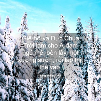 Picture 05 - Sáng Thế 2:21 VIE - Giê-hô-va Đức Chúa Trời làm cho A-đam - Bible Verse Picture