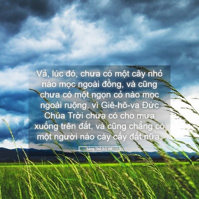 Picture 05 - Sáng Thế 2:5 VIE - Vả, lúc đó, chưa có một cây nhỏ nào - Bible Verse Picture