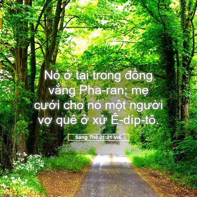 Picture 05 - Sáng Thế 21:21 VIE - Nó ở tại trong đồng vắng Pha-ran; mẹ - Bible Verse Picture