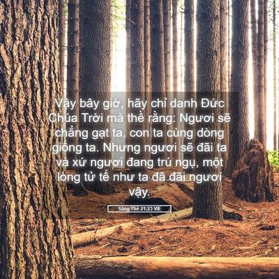 Picture 05 - Sáng Thế 21:23 VIE - Vậy bây giờ, hãy chỉ danh Đức Chúa - Bible Verse Picture