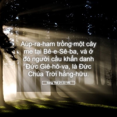 Picture 05 - Sáng Thế 21:33 VIE - Aùp-ra-ham trồng một cây me tại - Bible Verse Picture