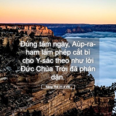 Picture 05 - Sáng Thế 21:4 VIE - Đúng tám ngày, Aùp-ra-ham làm phép cắt - Bible Verse Picture