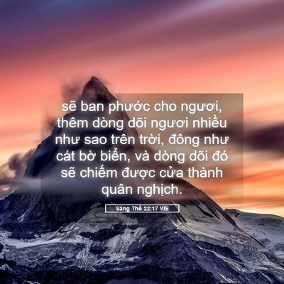 Picture 05 - Sáng Thế 22:17 VIE - sẽ ban phước cho ngươi, thêm dòng dõi - Bible Verse Picture